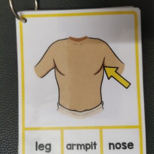 Body parts flash cards for kids